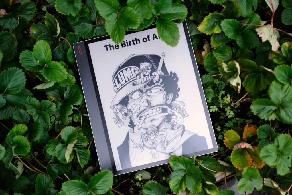 Boox Tab X C laying on leaves