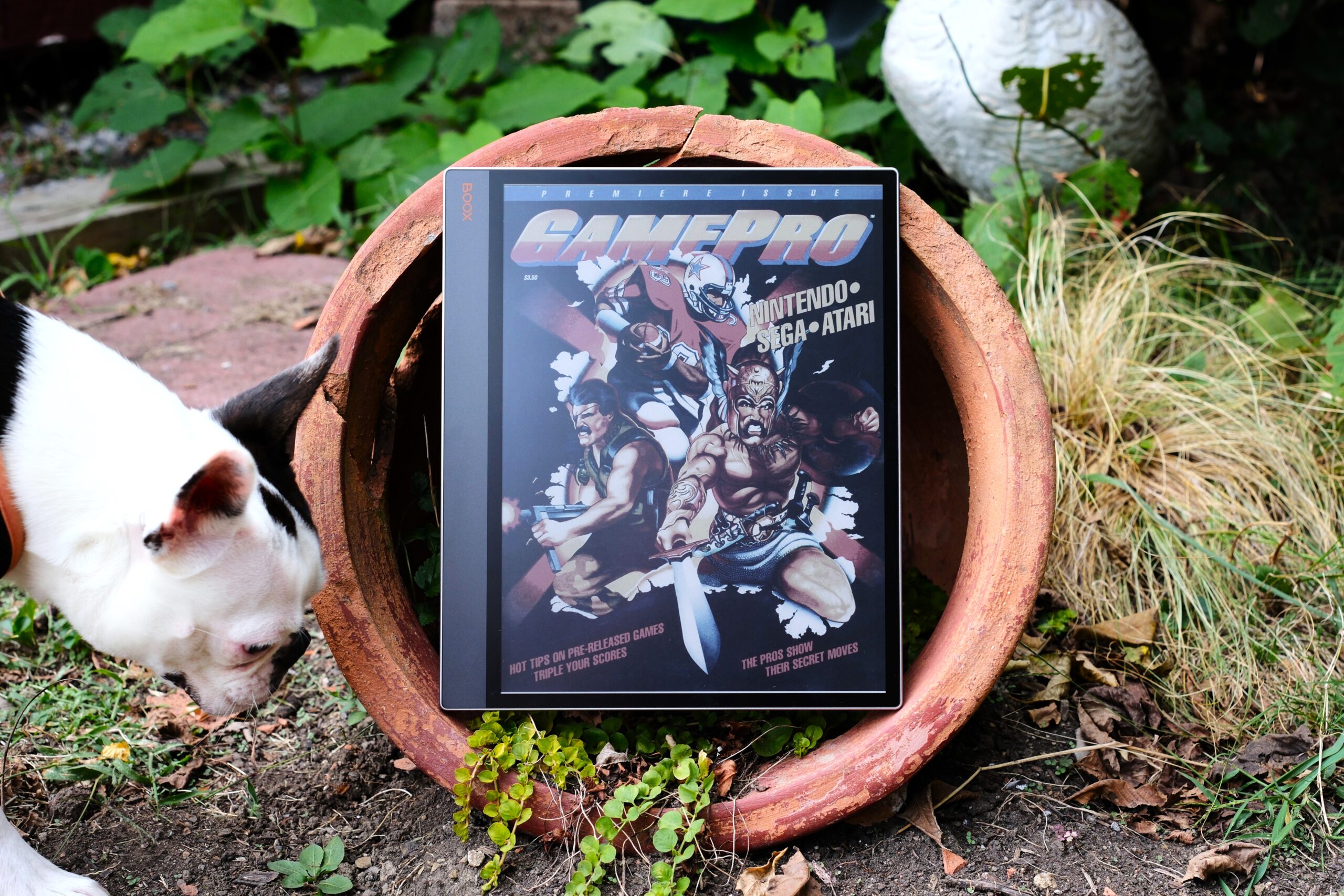 Boox Tab X C sitting on the edge of a clay pot that is on its side, with a dog off the left