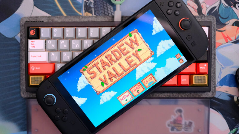 Switch 1 version of Stardew Valley being played on Switch 2