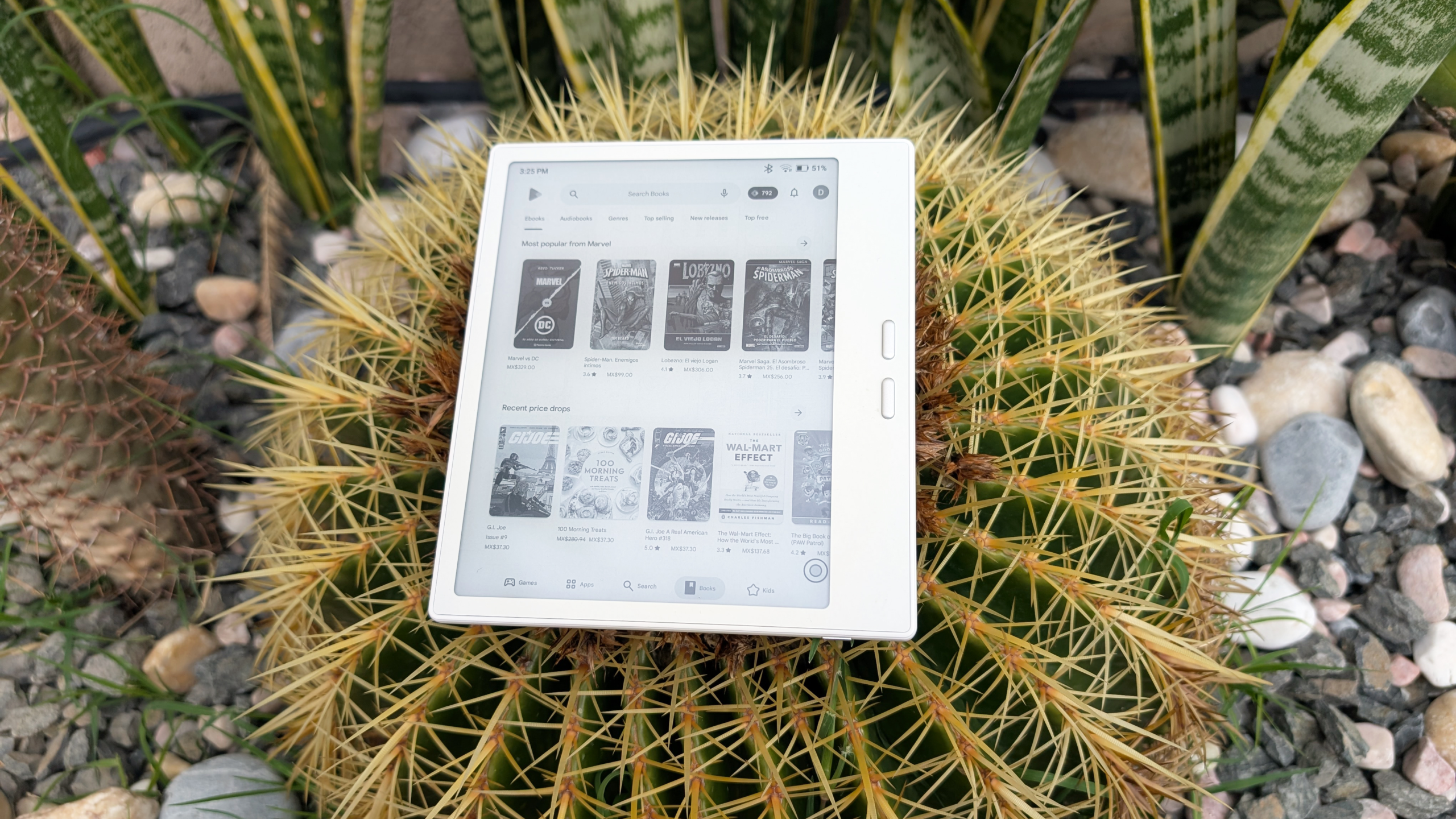 White Boox Go 7 on a barrel cactus
