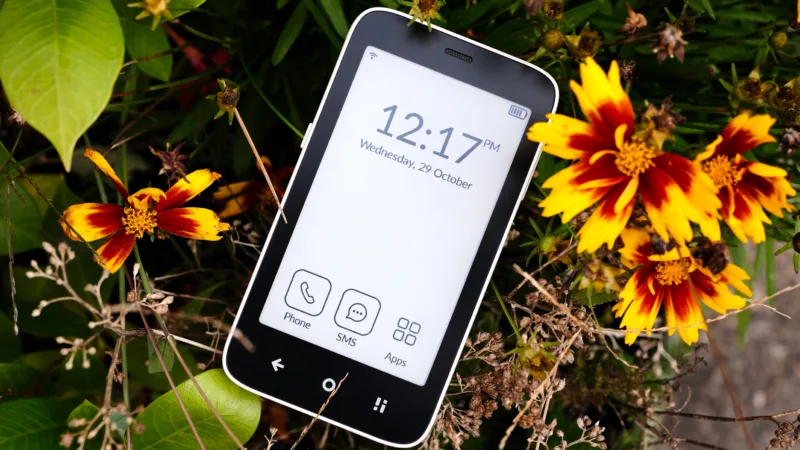 Mudita Kompakt laying in flowers