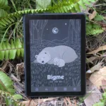 Bigme B6 Color review: Flirting equally with perfection and disaster