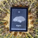 Bigme B6 Color resting on a cactus