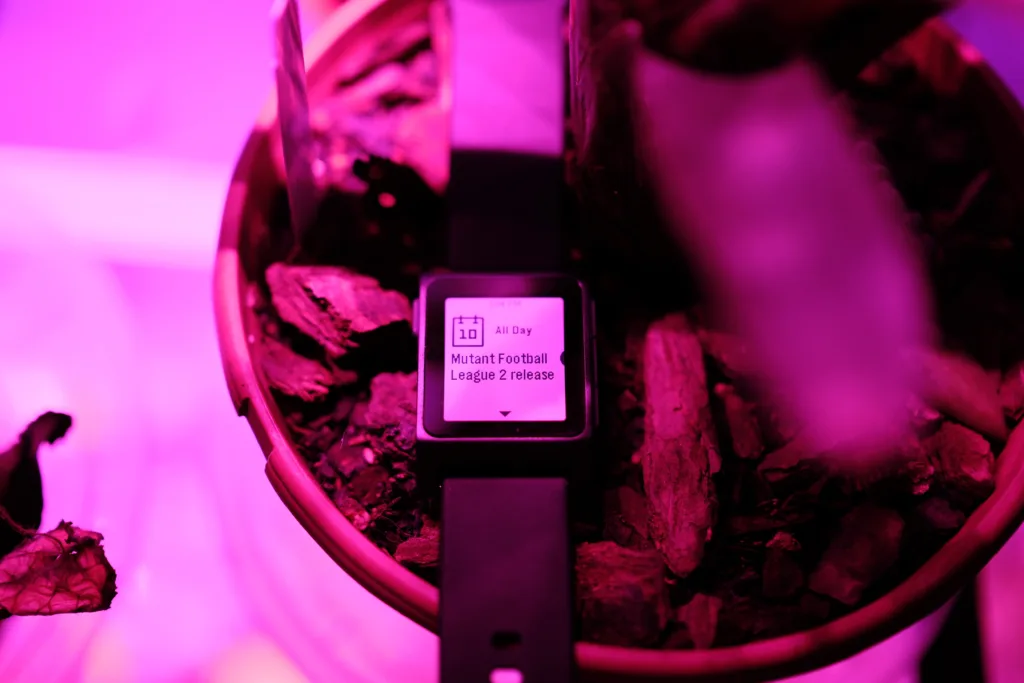 Pebble 2 Duo under pink grow light for orchid