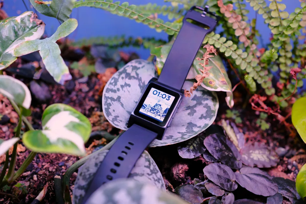Pebble 2 Duo resting on lily pad