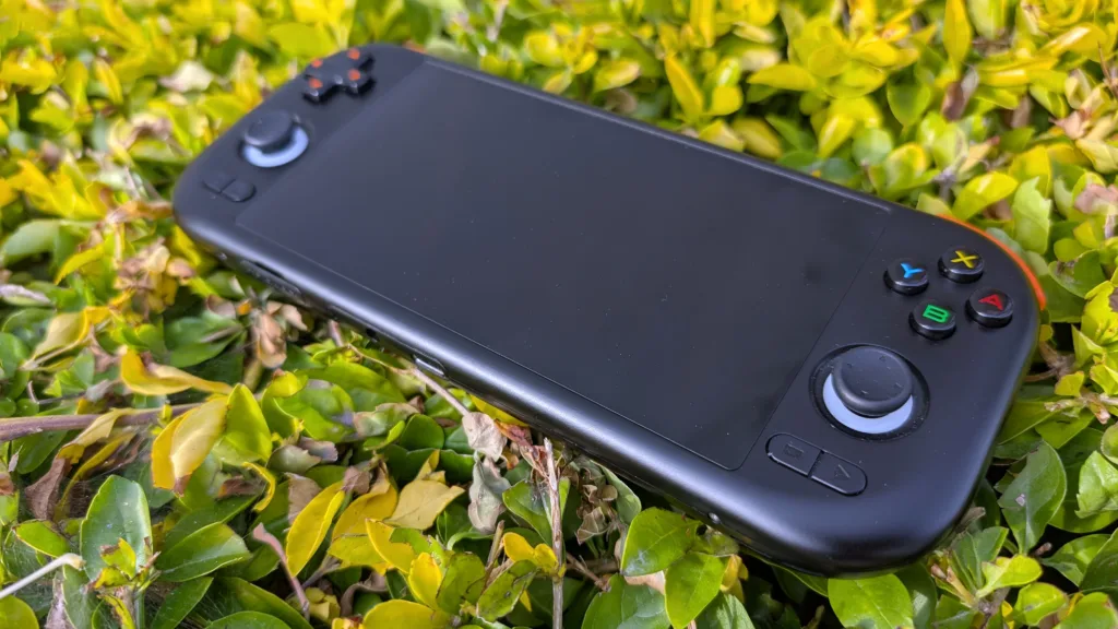 Black Mangmi Air X on shrub